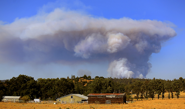The Rocky Fire from Butts Canyon Road in Lake County, Wednesday July 29, 2015. (Kent Porter / Press Democrat) 2015