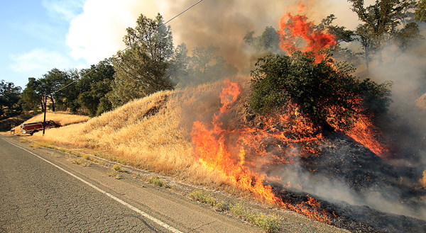 The Rocky fire spots off Morgan Valley Road, Wednesday July 29, 2015. (Kent Porter / Press Democrat) 2015