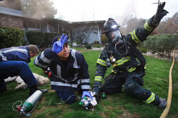 Santa Rosa firefighters, Teddy Day, middle, and Mike Johnson call for more oxygen as they attempt to resuscitate a family pet that was rescued from a house fire on East Foothill Drive in Santa Rosa. At left, firefighter Mike Nealon attempts the same. Both animals died despite the firefighters efforts. (Kent Porter / Press Democrat) 2016