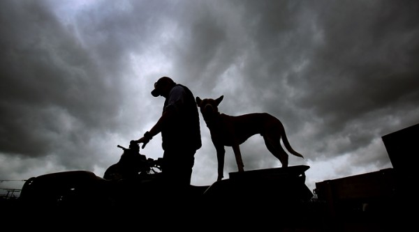 Threatening skies doesn't deter Brian Denner and his dog Kody, as they prepare to help Sonoma County Sherif's deputies stamp ID numbers on farm equipment at the Denner Ranch in Santa Rosa, Wednesday Feb. 17, 2016. (Kent Porter / Press Democrat) 2016