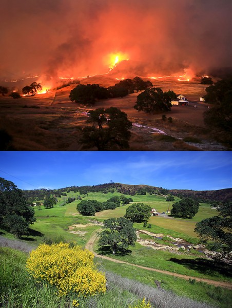 Off Morgan Valley Road in Lower Lake, the first night of the Rocky fire threatened several homes in July 2015.  The same view in April 2016.  (Kent Porter / Press Democrat) 2016
