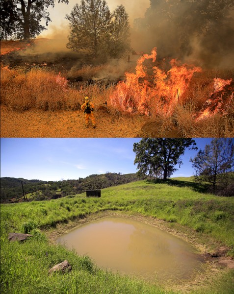 Firefighters from Windsor, Geyserville and Cloverdale set backfires on the Rocky fire in July 2015 in the footprint of a drought stricken farm pond. On Friday April 15, 2016 winter rains have partially filed the pond.   (Kent Porter / Press Democrat) 2016