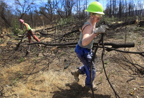Hidden Valley resident Bonnie Bishop, 55, lost her home off Noble Ranch Road to the Valley fire, which is now being rebuilt. Now she is part of a crew that is clearing charred trees in danger of falling at the Middletown Trailside Nature Preserve and EcoArts Park, Friday Sept. 2, 2016. At left is Cristina Clarke, also of Hidden Valley. (Kent Porter / The Press Democrat) 2016